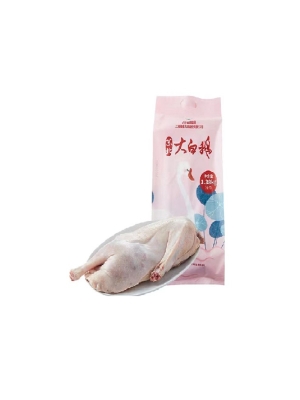 苏北大白鹅