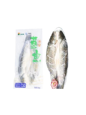 开背草鱼
